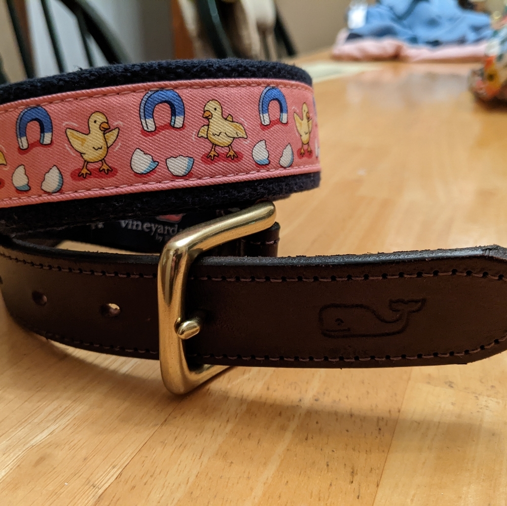 Vineyard Vines Chick Magnet Canvas Club Belt